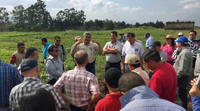 UC Cooperative Extension advisor Ramiro Lobo talks to the group during a field session.