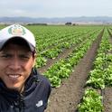 Alejandro Del Pozo-Valdivia, UC Cooperative Extension entomology advisor in Monterey, Santa Cruz and San Benito counties, in an iceberg lettuce field in Chualar, Calif.