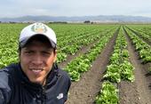 Alejandro Del Pozo-Valdivia, UC Cooperative Extension entomology advisor in Monterey, Santa Cruz and San Benito counties, in an iceberg lettuce field in Chualar, Calif.
