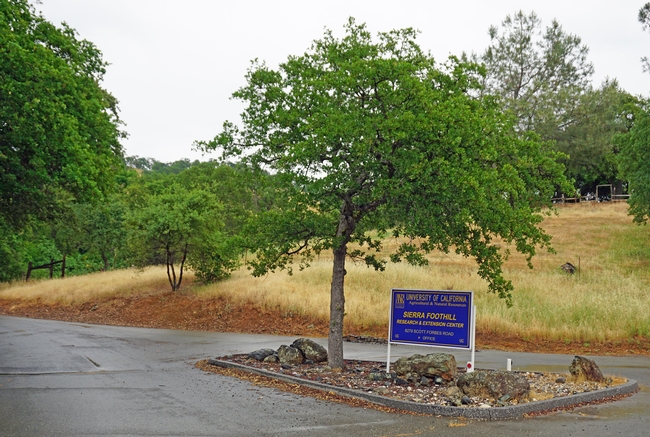The Sierra Foothill Research and Extension Center is one of nine centers across the state of California UC Agriculture and Natural Resources manages for applied research.