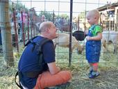 Father and son enjoy a petting zoo on a farm offering agritourism experiences.