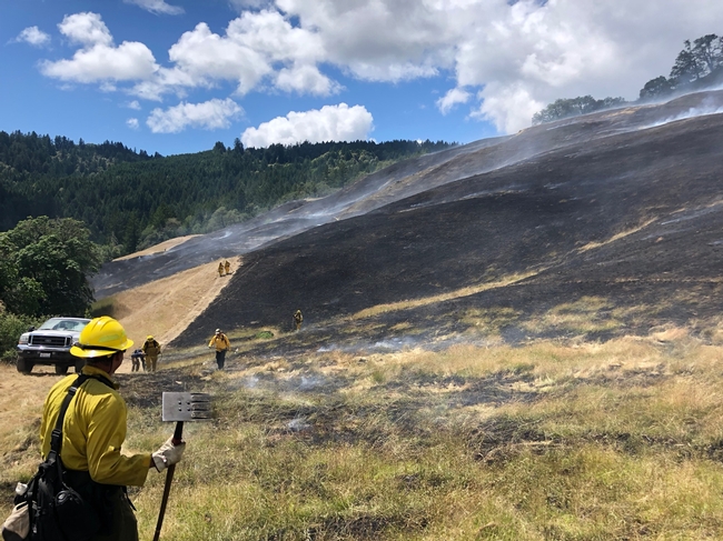 Humboldt County PBA and UC ANR fire retreat participants rapping up their third consecutive day of burning in late June, 2019. (Photo: Lenya Quinn-Davidson)