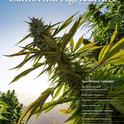 The July-December 2019 issue of California Agriculture journal focuses on cannabis.