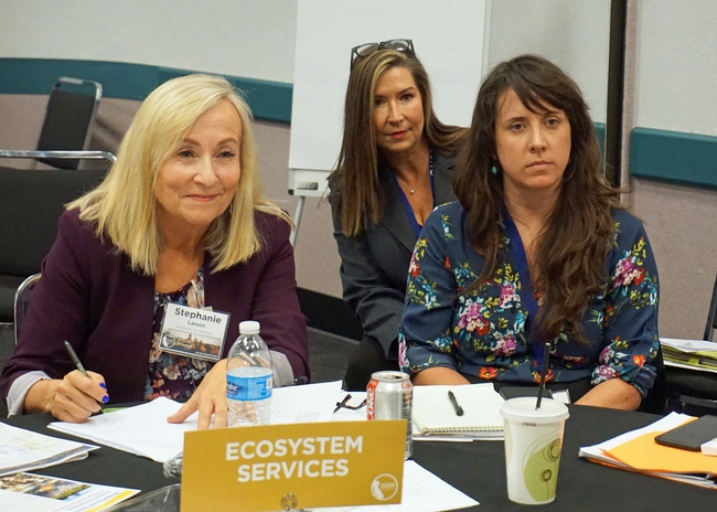 UCCE rangeland advisor Stephanie Larson, left, leads a working session to develop strategies for determining the value of ecosystem services. Also pictured are Eva Shepherd of Chicostart, center, and Colleen Kedrell of Next 10.