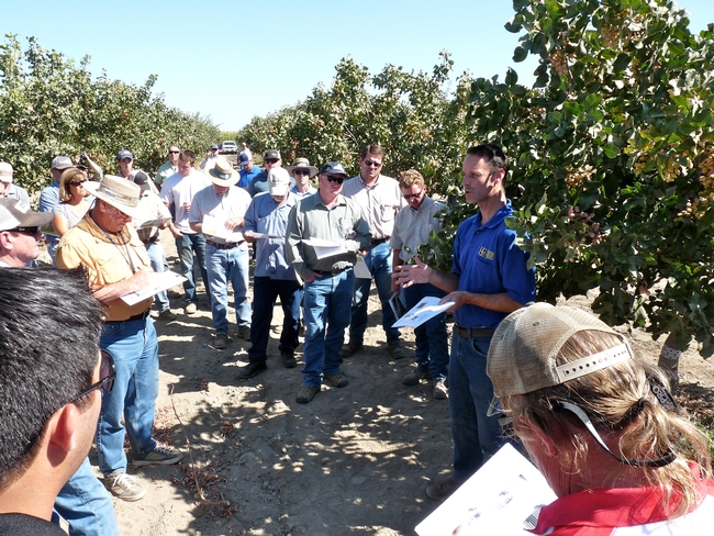 UC IPM advisor David Haviland speaks with farmers and industry representatives in a pistachio orchard.
