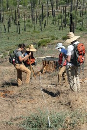 Graduate students from Scott Stephen's Fire Ecology Lab at UC Berkeley are shown measuring post-treatment fuels in a forest.