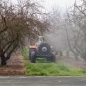 A target-sensing smart sprayer travels between the rows of a Modesto almond orchard.