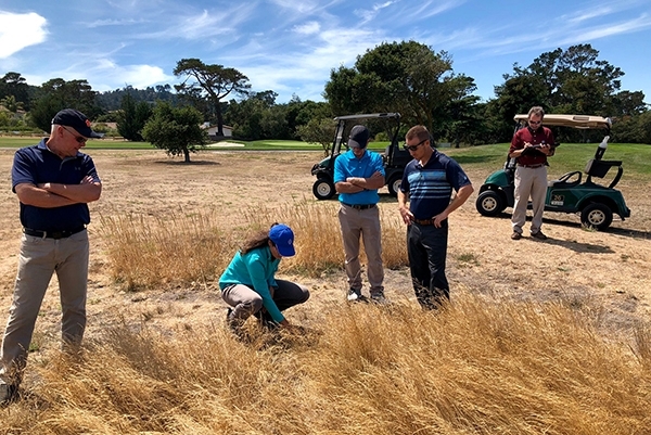 Maggie Reiter, in blue hat, examines naturalized area of a golf course Photo by James Hempfling
