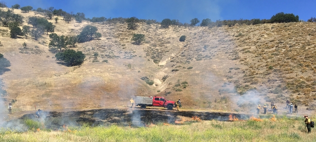 UCCE leads development of prescribed burn association in Central Coast counties