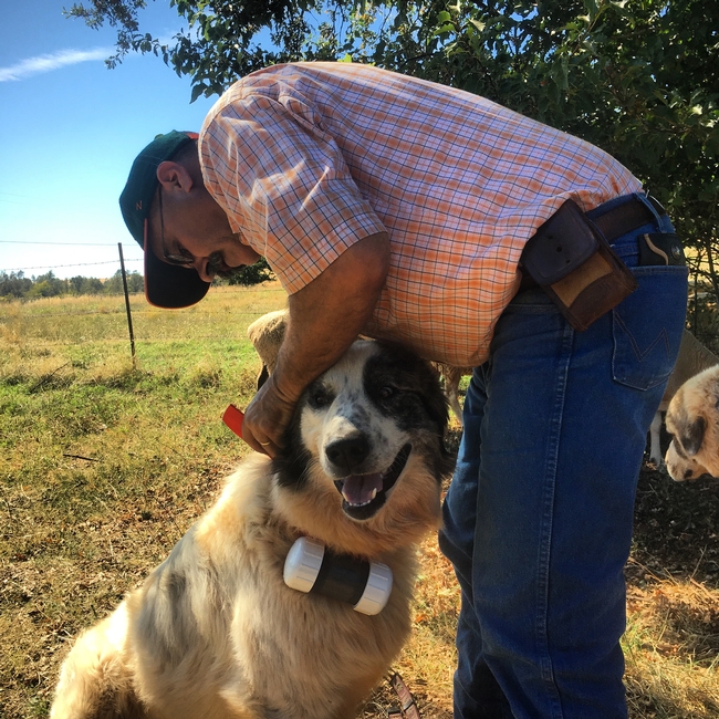 with guardian dog Bodie. (Photo: Hannah Meyer)