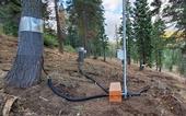 An instrumented forest restoration site in the Middle Fork of the American River Basin. Photo by Safeeq Khan