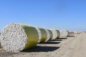 Bales of harvested cotton await their turn at the gin. (Photo: Jeff Mitchell)