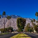 Trees beautify and cool a boulevard in Palm Springs. (Photo: Pixabay)