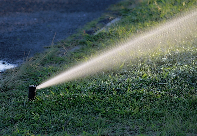 Overwatering the landscape and leaks in irrigation systems are the two most common water-wasting mistakes identified by the Garden Walks program. (Photo: Pixabay)