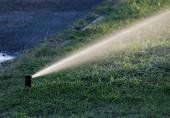 Overwatering the landscape and leaks in irrigation systems are the two most common water-wasting mistakes identified by the Garden Walks program. (Photo: Pixabay)