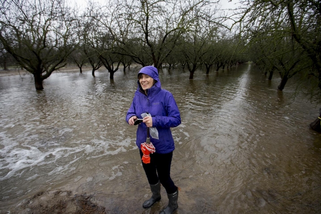 Helen Dahlke stands by a flooded almond orchard. (Photo: Joe Proudman, UC Davis)