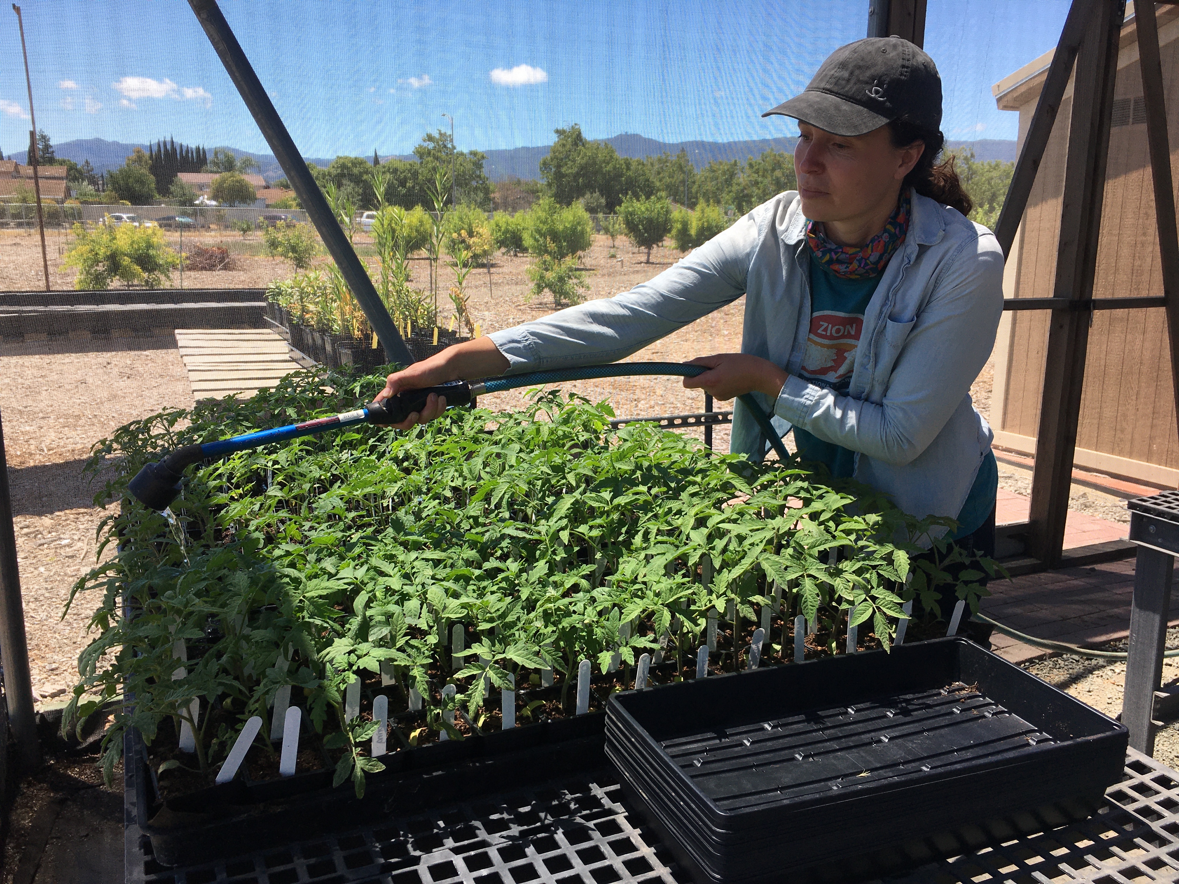 Gotham Greens opens a 10-acre farm/research facility in California