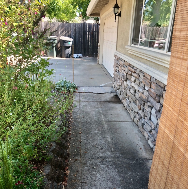 Concrete sidewalk and driveway border the house.