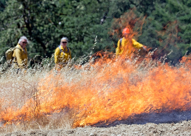 Firefighters in yellow jackets observe as flames consume dry vegetation in the foreground.