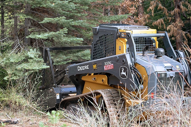 Using machines to manually remove small trees and underbrush poses fewer risks than prescribed burns, but often comes at a much higher cost. Photo by Evett Kilmartin