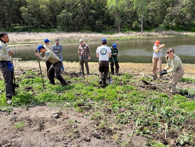 Nine people shown digging with long-handled shovels beside a pond.