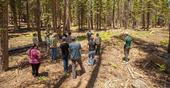 A tour of the French Meadows Forest Restoration Project at the Tahoe National Forest is carried out on June 21, 2022. Photo by Brie Anne Coleman, Placer County Water Agency