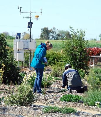 Karrie Reid’s work helps optimize urban landscape irrigation, conserve water