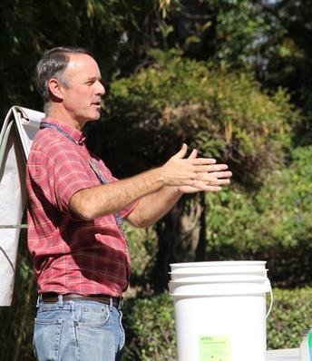 UCCE researchers target sugar-feeding ants, a key to controlling citrus pests, disease