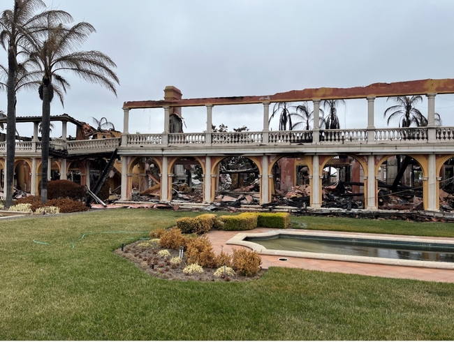 Palm trees, green lawn and intact exterior of the home frame the burned interior.