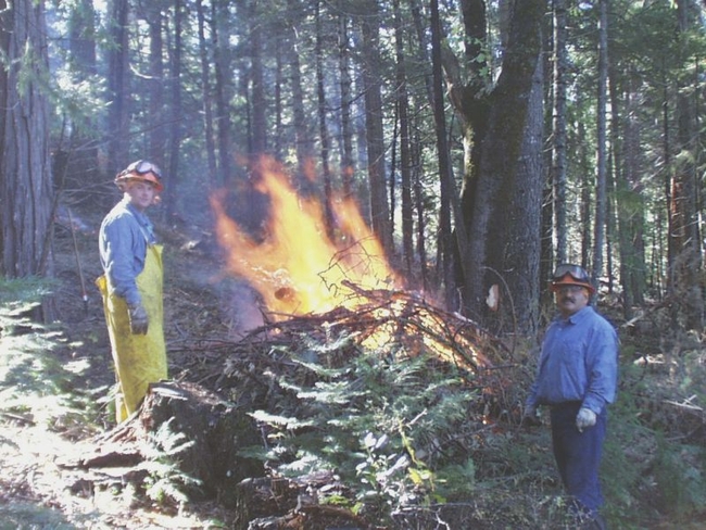 Burn pile, Blodgett Research Forest. Photo credit: Kim Ingram
