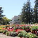 America in Bloom plant sale