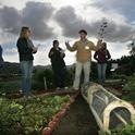 Educators gather for lesson in HAREC gardens. Photo courtesy of Ventura County Star