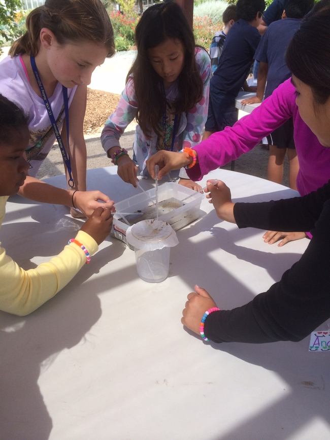 Activity teaches how filtration systems help clean our water.
