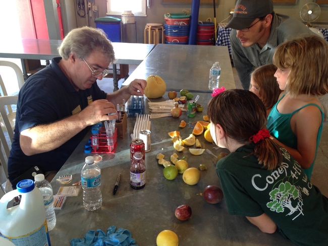 County Director, Christopher Smith, teaches youth about pH in various foods