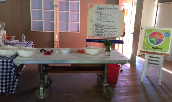 Nutrition and Cooking station
