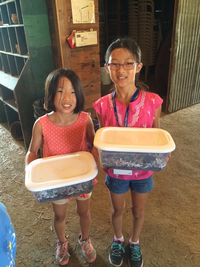 Campers create their own compost worm bin to take home.