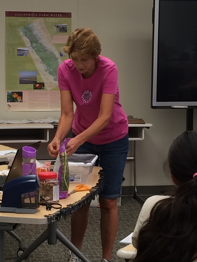 Gena Mathwin, Rio School District, delivering the 4-H Sustainable You! Summer Camp program, demonstrates how to build a worm bin
