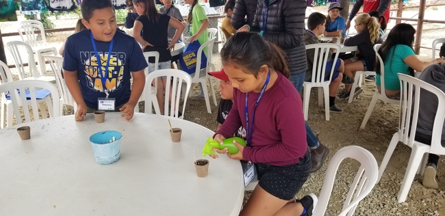 Planting seeds to grow indoor plants that can provide oxygen in our home environments