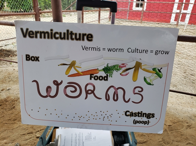 Learning about worm composting