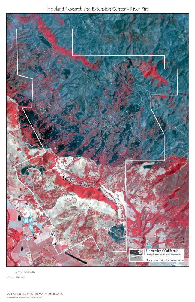 HREC Fieldmap Fires. The red is existing vegetation. Many of the oaks did not burn. Brighter red indicates untouched green foliage, fainter red indicates some damage. Black areas are burnt grasslands, gray areas are primarily  chaparral or chamise.  The two separate black areas are where we did prescribed burns this June. The white spots are ash indicating where a tree did burn. Thanks to Shane Feirer of iGIS for putting this together.
