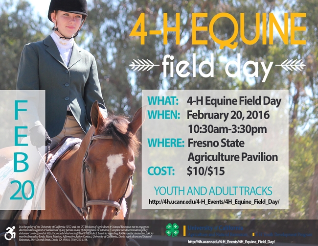 Equine Field Day Flyer edited