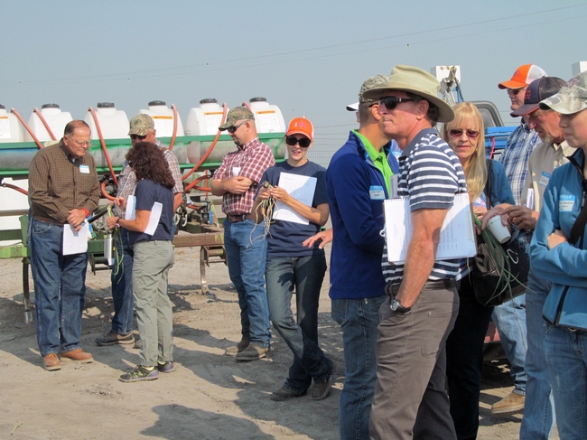 2013 IREC Field Day participants learn about onions.