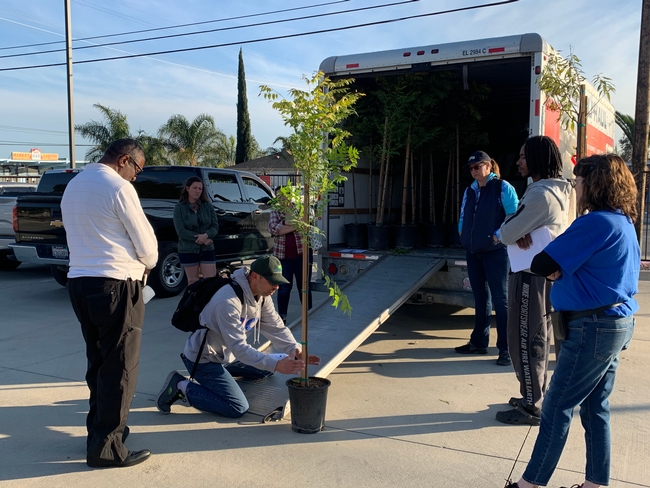 TFTST San Bernardino MG Husam providing tree tips for tree recipients in Muscoy