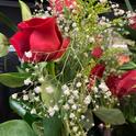 red roses hartin