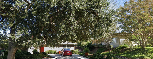 keep trees alive during drought for Landscape Horticulture Updates for Southern California Blog