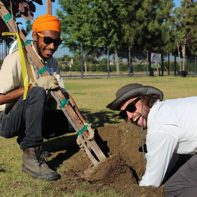 IERCD, CA Climate Action Corps, and UCCE Master Gardeners have planted over 600 trees in under-resourced neighborhoods