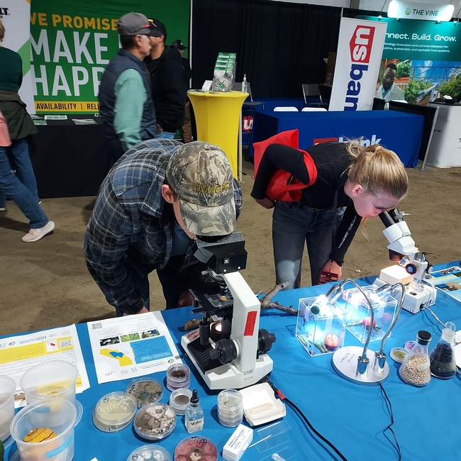 Expo attendees examine leaf-footed bugs and Phomopsis spores under microscopes.
