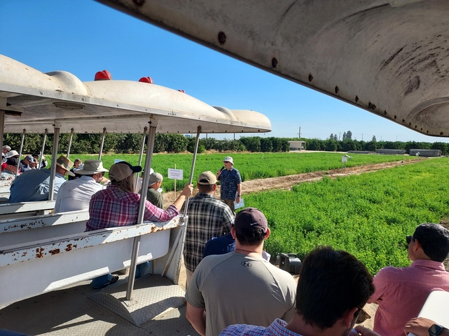 Dan Putnam explaining MAR project in alfalfa