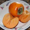 A ‘Fuyu’ persimmon is firm when mature.