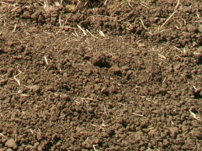 Biotic soil resulting from conservation agriculture practices.